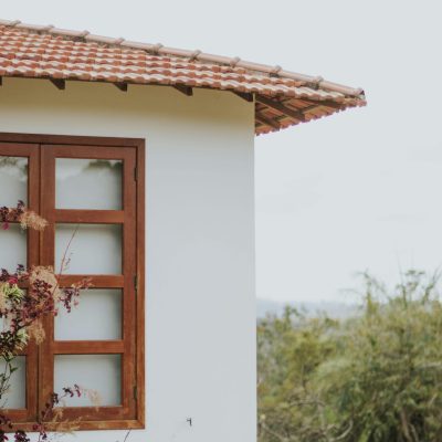 pexels-leticia-alvares-1805702-24288979
